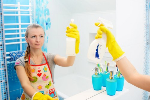 Professional mattress cleaning service for homes and flats in W2