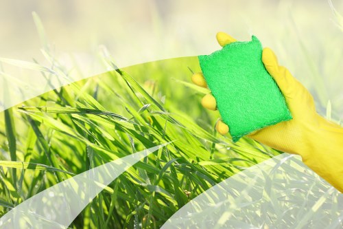 Professional upholstery cleaning for a sofa in a W2 home
