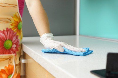 Professional stain removal service for carpets and upholstery in W2