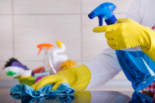 Professional oven cleaning service for a W2 kitchen appliance