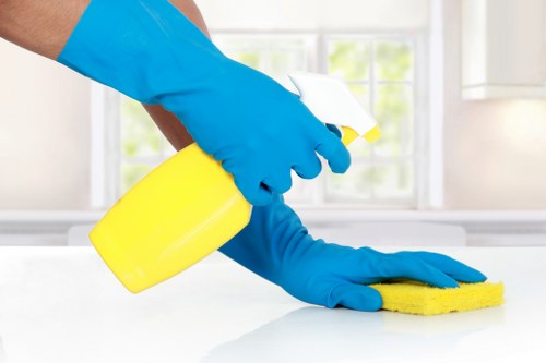 Resolved carpet cleaning complaint process with documented follow-up