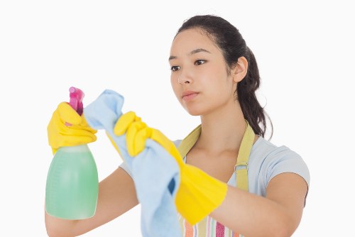 Professional window cleaning equipment for flats and apartments in W2