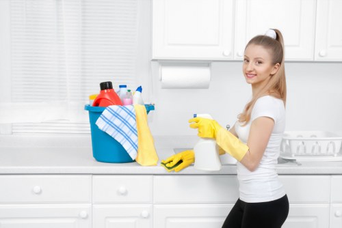 Local window cleaning service for a period building in W2