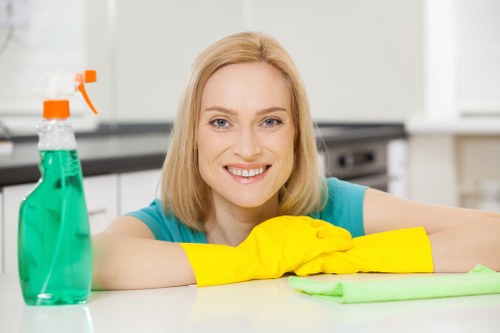 Cleaning technician assessing carpet contamination in a Paddington home