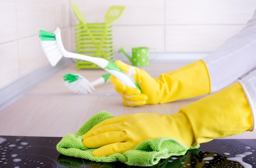 Professional turnover cleaning for an Airbnb in central London