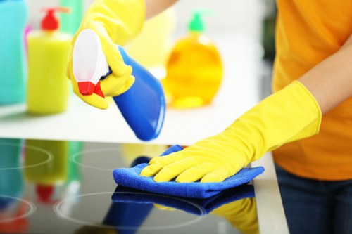 Trustworthy local house cleaning support for W2 residents