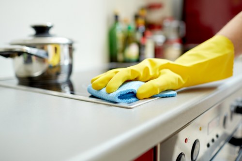 Local carpet cleaner treating stairs and hallway carpets in W2